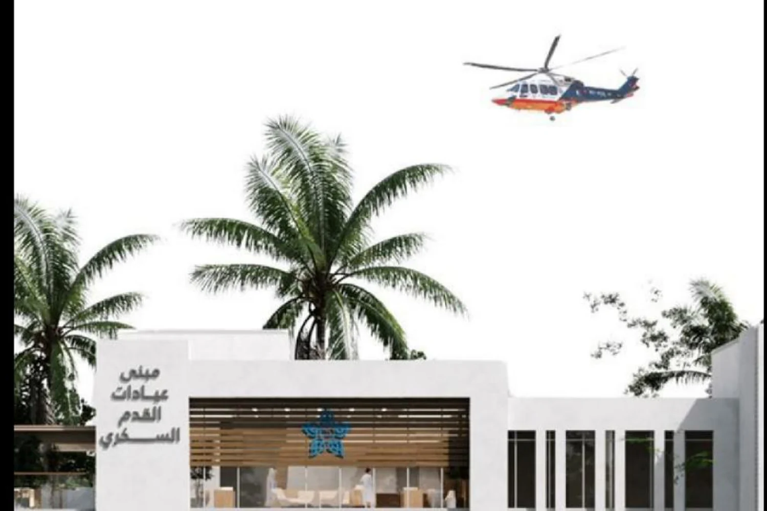 مستشفى القدم السكري — تطوير تصميم